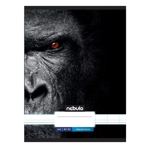 Füzet kockás NEBULO A/4 32 lapos 87-32 Xtreme 12 darabos