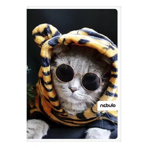 Spirálfüzet sima NEBULO L-Design A/4 70 lapos