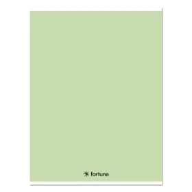   Füzet kockás FORTUNA Monocolor A/5 32 lapos 27-32 pasztell zöld