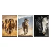 Füzet kockás STREET A/4 54 lapos Horses