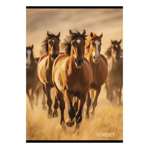 Füzet kockás STREET A/4 54 lapos Horses