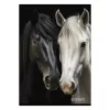 Füzet sima STREET A/4 54 lapos Horses