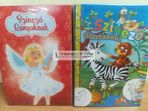 Színező füzet