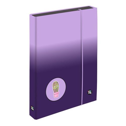 Füzetbox OXY Next Jumpo A/4 Purple