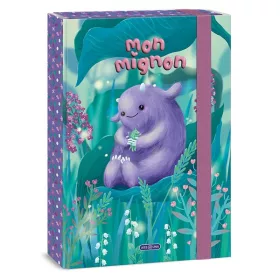 Füzetbox ARS UNA A/4 Mon Mignon