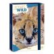 Füzetbox ARS UNA A/4 Icons of the Wild-Serval