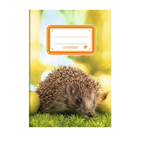 Leckefüzet, A/5, különböző mintákkal