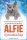 Alfie új munkát kap – Tanulj önismeretet egy bölcs cicától!