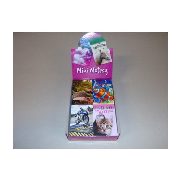 Notesz mini vegyes