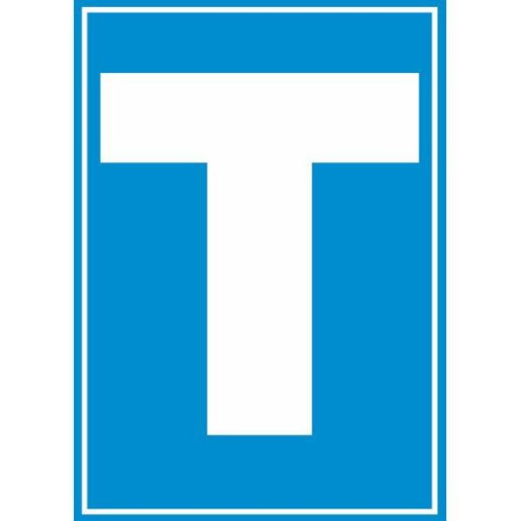 Tanuló vezető mágneses