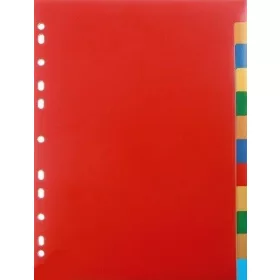 Regiszter karton, A/4, 12 részes, színes