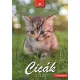 Naptár, fali, DAYLINER, "Cicák"