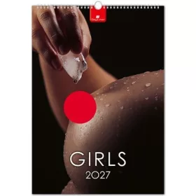   Naptár, felnőtt tartalommal, fali, DAYLINER, "Girls"