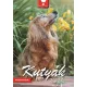 Naptár, fali, DAYLINER, "Kutyák"