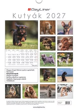 Naptár, fali, DAYLINER, "Kutyák"