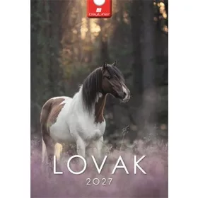 Naptár, fali, DAYLINER, "Lovak"