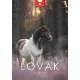 Naptár, fali, DAYLINER, "Lovak"