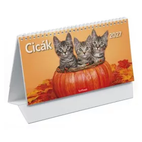 Naptár, asztali, álló, TOPTIMER, "Cicák"