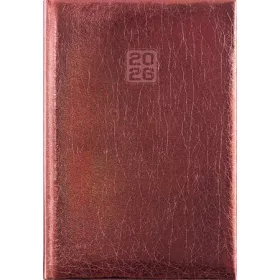   Naptár, tervező, B6, heti, DAYLINER, "Mirror", bronz