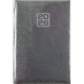   Naptár, tervező, A5, napi, DAYLINER, "Mirror", ezüst